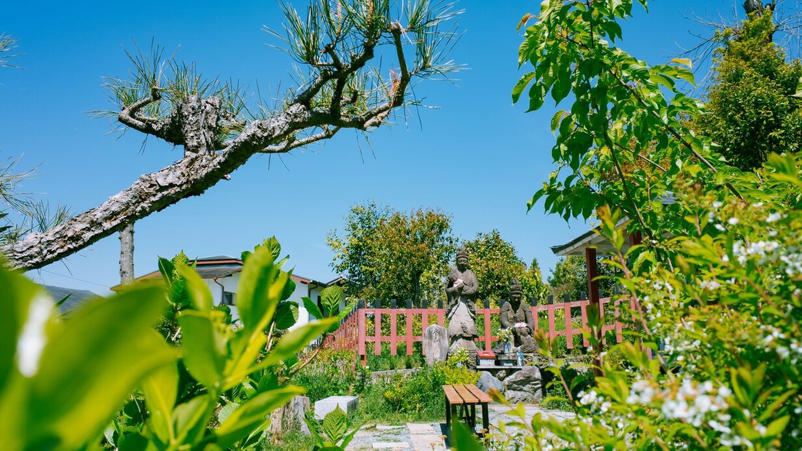 二十四節気で暮らす2026年